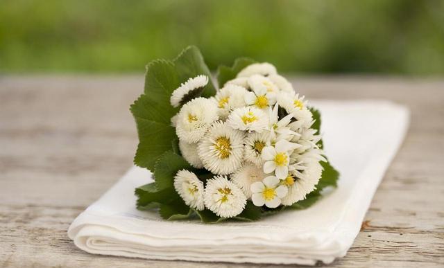 八字揭秘：你是木命人吗？看这几点就知道命运走向！