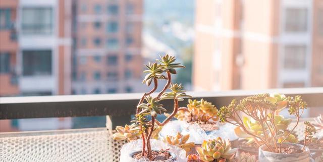 五行属土的女孩名字大全：赐福宝贝一生安稳富贵的命名玄机