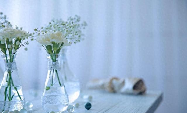 栾与峦，哪个字起名更旺运？资深命理师揭秘字形藏玄机！