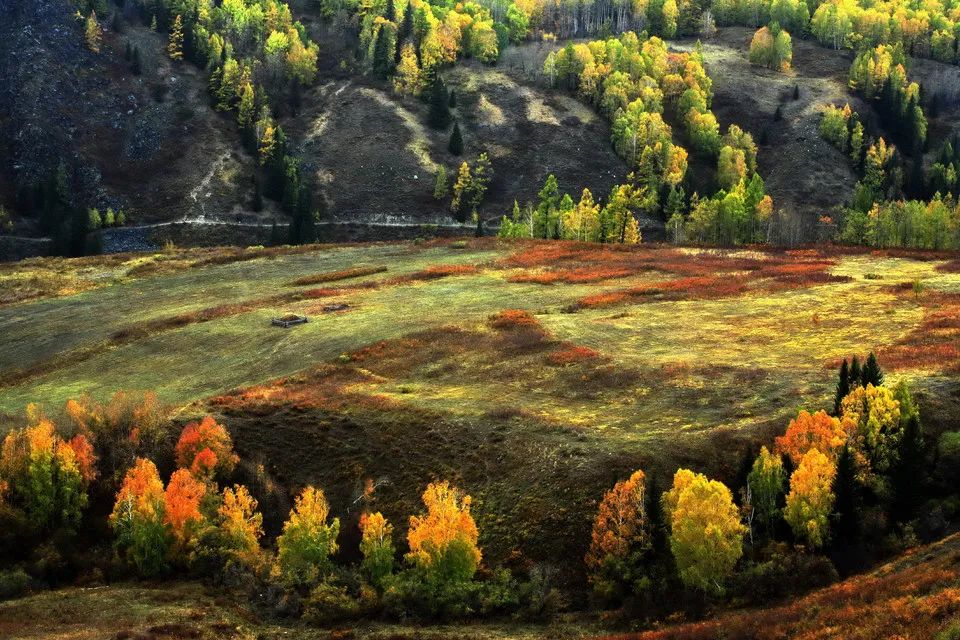 泓屹取名寓意解析：承载深厚文化，铸就稳健人生的智慧选择