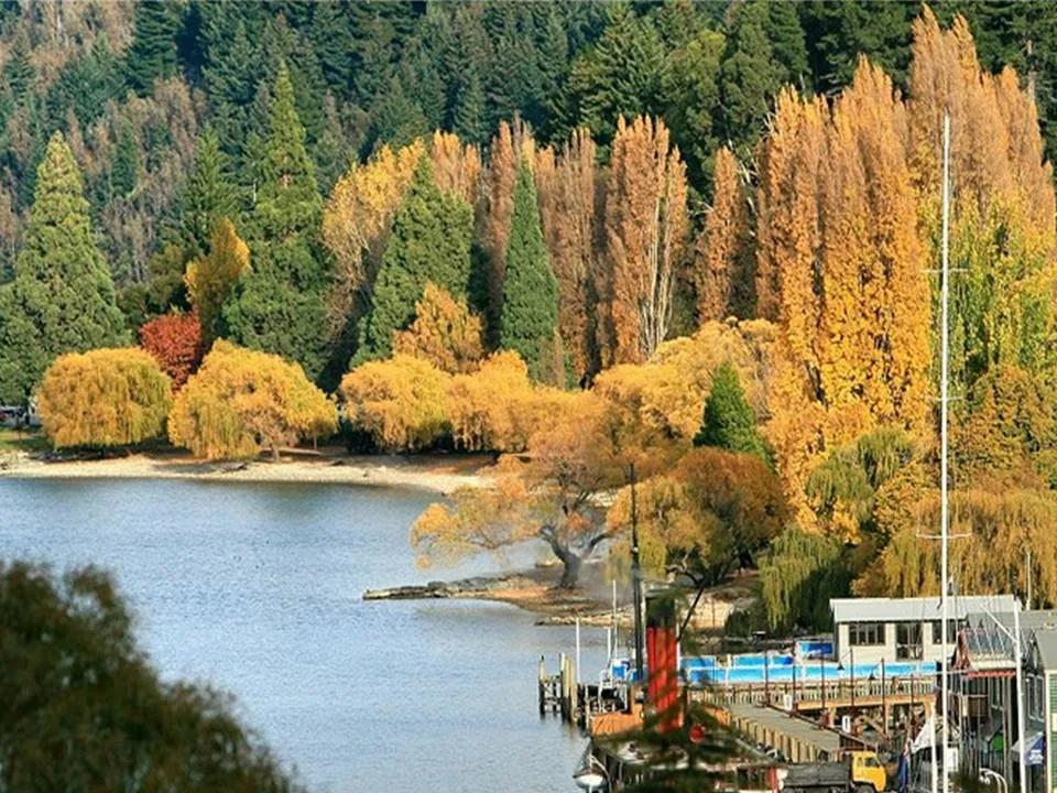 1930年属什么生肖？属马人命运全解析，揭秘你的性格、运势与人生轨迹