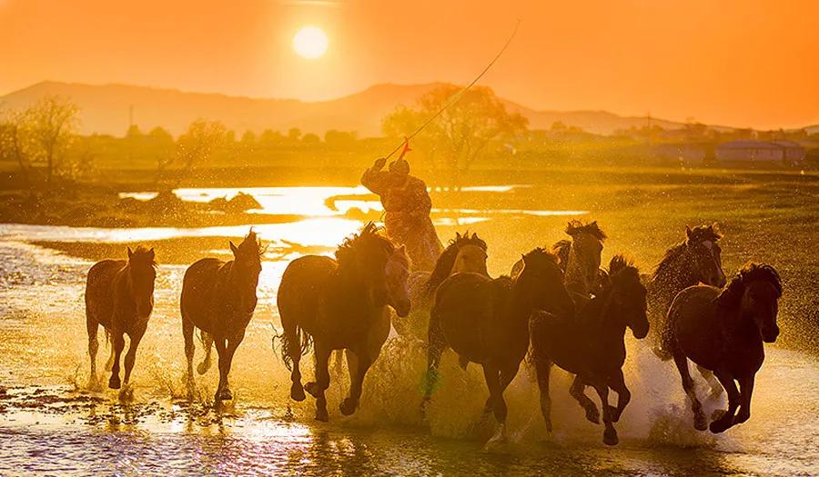 八字全阴之谜：你真的了解纯阴之命的宿命与转机吗？