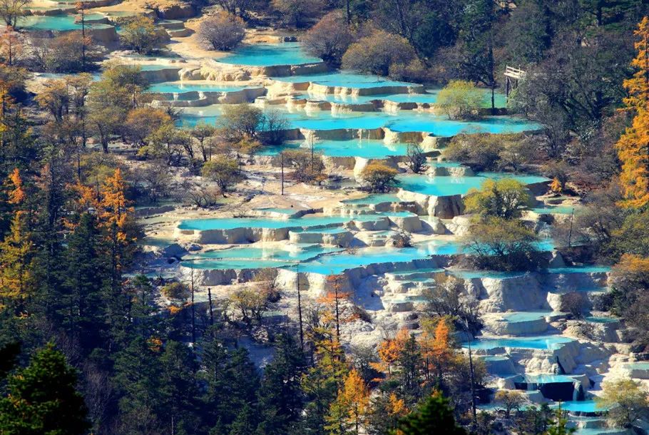 财来财去难留住？详解女命八字中压不住财星的五大特征