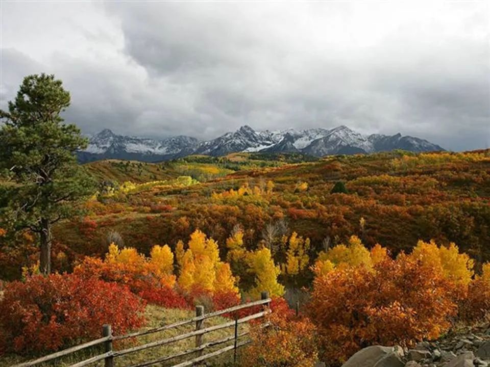 红鸾桃花入命好不好？深度解析桃花运背后的姻缘玄机与人生转机