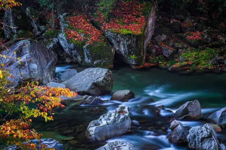 八字纯阴配纯阳的婚姻：揭秘天生一对的命理玄机与幸福指南