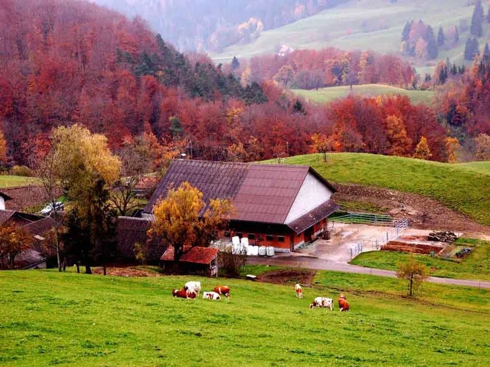 命带魁罡：天降奇才的封印，还是命运设下的终极考验？