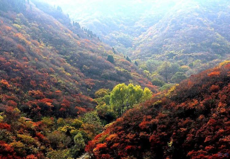 七杀格遇羊刃格：宿命对决还是逆天改命的绝世良机？