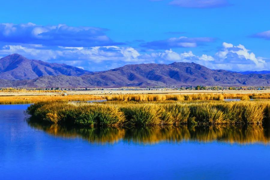 2025年10月17日黄历解密：天赦日照命，把握一年中最宜改运的吉日！