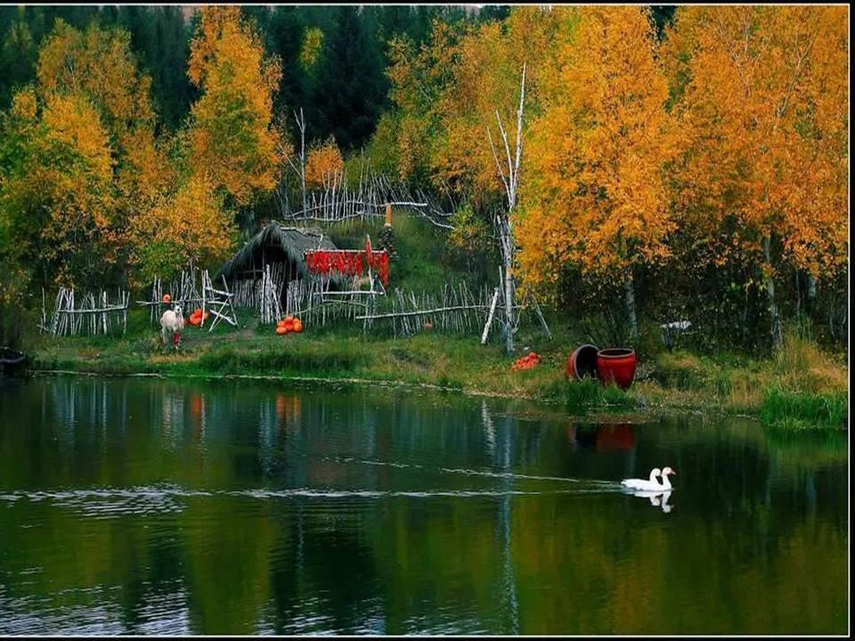 七杀劫重怎样有效化解？命理专家传授八字改运秘诀，结合五行风水，让你摆脱困境福运连连！