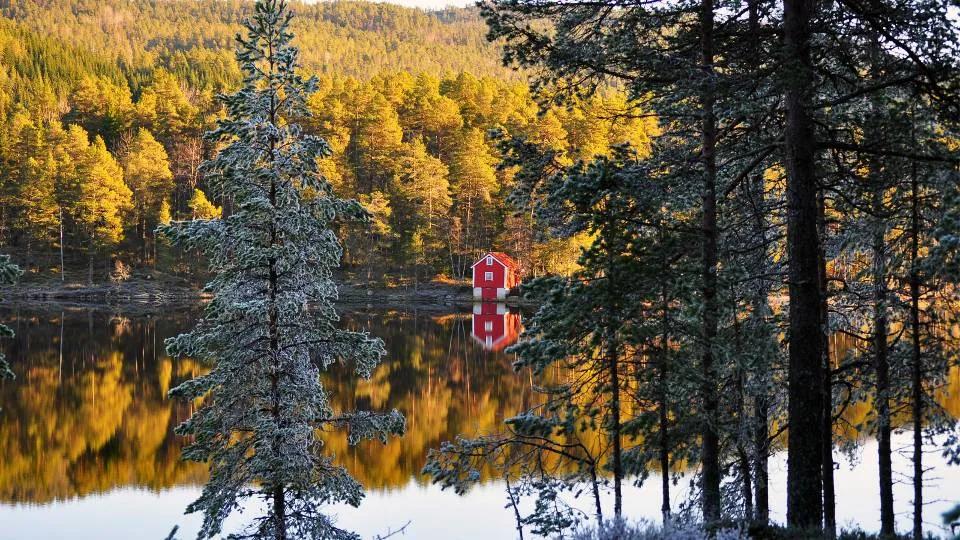 八字不合真的不能结婚吗？玄学大师揭秘合婚的三大化解之道