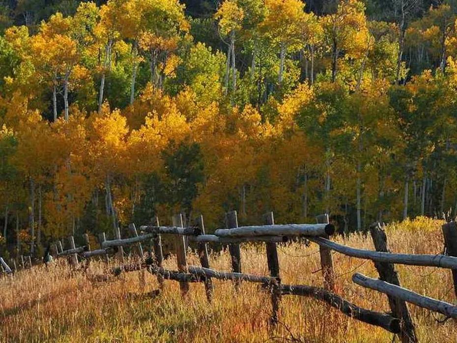 生辰八字合婚全解析：从五行相生到良缘天成的千年智慧