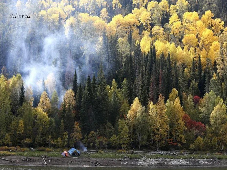 生辰八字如何看财运？资深命理师揭秘财运走势与提升秘诀