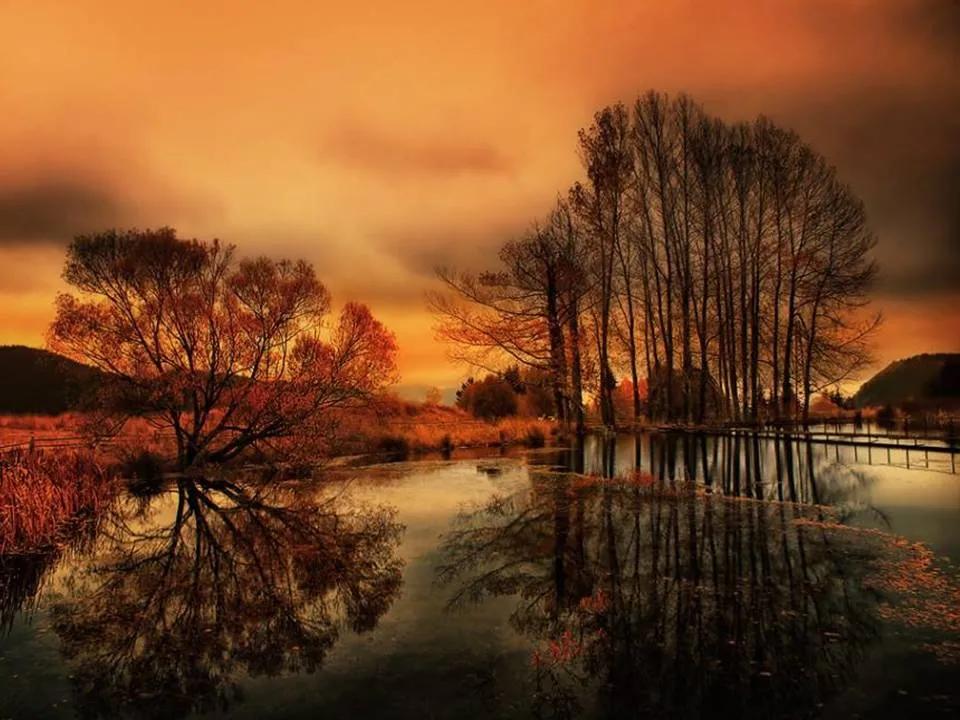 男命富贵八字特征分析：揭秘天生好命的五大玄机，财官双美并非偶然！