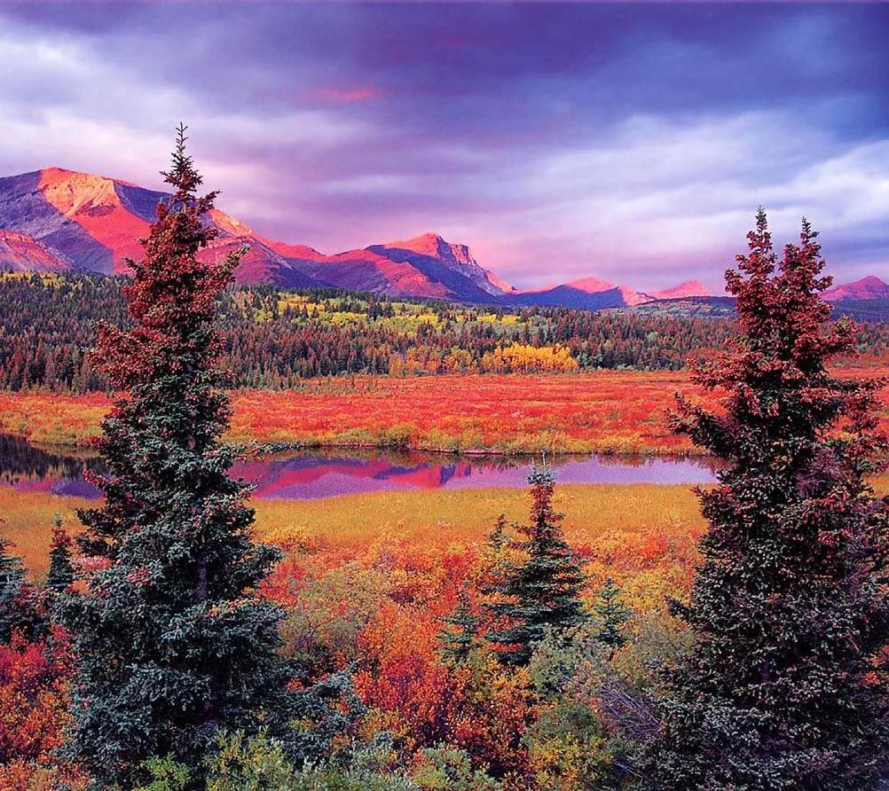 己土命八字硬吗？深度解析己土特质与人生运势的玄机！