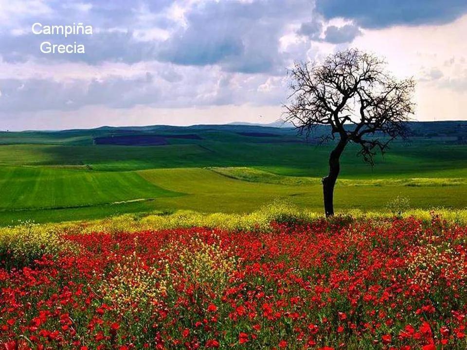 探秘2025年10月19日黄历：吉凶宜忌全解析，助你趋吉避凶迎好运！