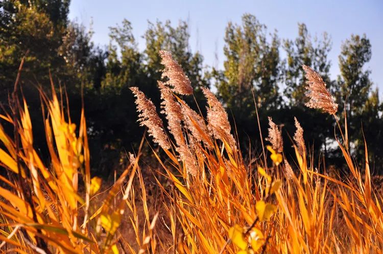 塔罗牌占卜入门必读：掌握这10大注意事项，让你的解读更精准有效！