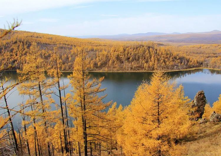 男命八字地支七杀多：煞重藏权，破局而立方显英雄本色