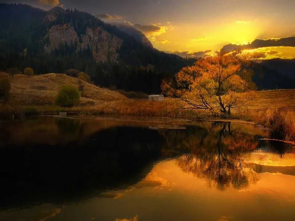 2025年生肖牛阴历每月运势完整指南：从正月到腊月每月运程深度分析，提供事业财运健康感情预测与开运方法