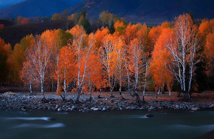 八字命旺性格怎样改变？资深命理大师教你玄学调运秘诀，重塑人生格局