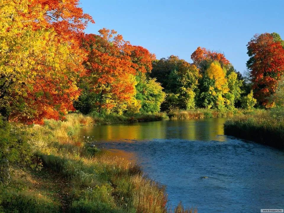 揭秘八字命格有多少种类？读懂你的命运基因，掌握人生先机！