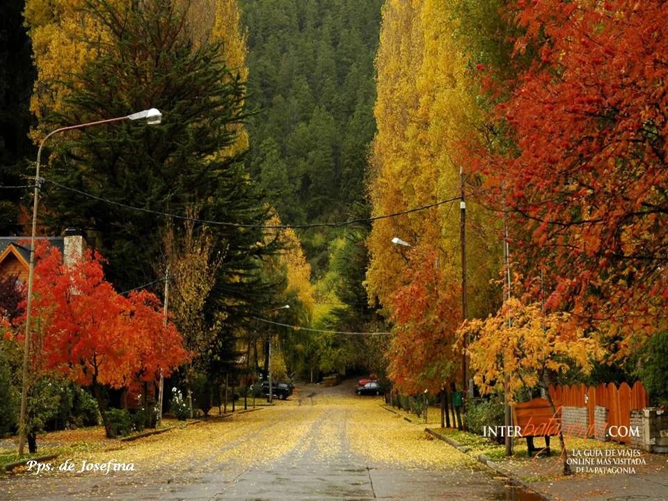 八字身旺印旺比劫旺：命理中的能量密码与人生破局之道