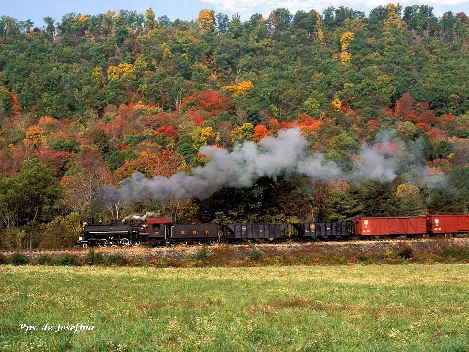 十二星座姻缘合婚到底准不准？揭秘男性视角下的星座配对真相