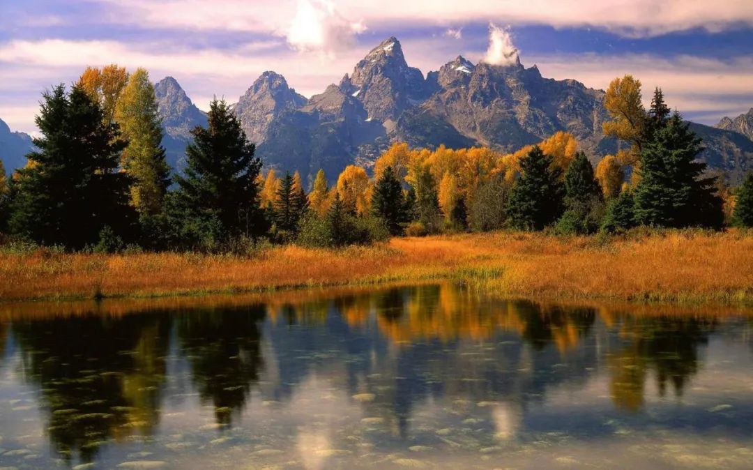 揭秘女命伤官多为何婚姻多波折？竟是这三大命理玄机在作祟！