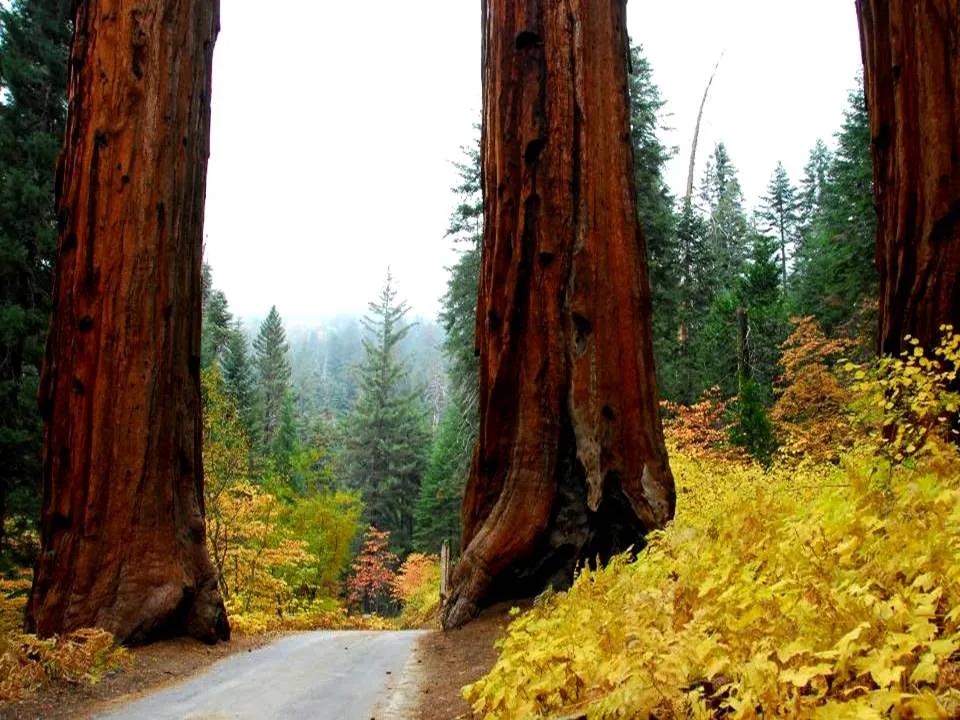 揭秘八字特殊格局：从富贵双全到命运多舛的玄机