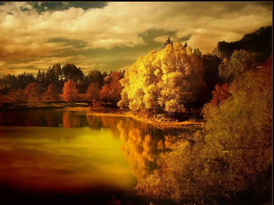 四柱八字五行属性全解析：看懂命局平衡，掌握人生转折点！