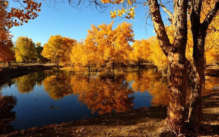 命里缺水怎么办？这些补运妙招让五行失衡的男人重获生机！