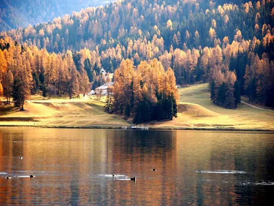 温婉如玉，灵动生辉：口子旁女孩名字的玄学魅力与运势解析