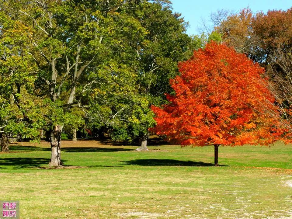 八字命理姻缘断语揭秘：你的婚恋轨迹早已注定？