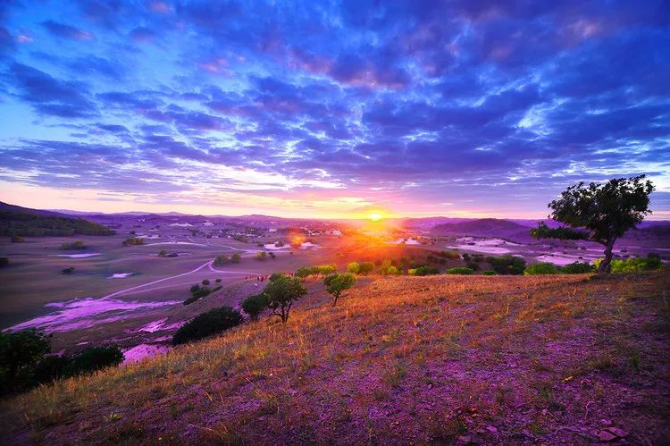 金匾吉日是什么意思？揭秘千年择日智慧背后的运势玄机