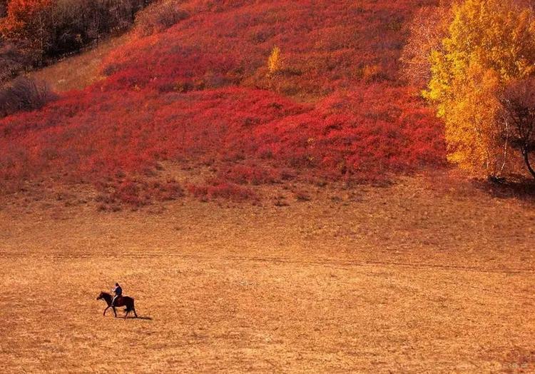 男命八字有何玄机？揭秘上等命格的五大关键特征！