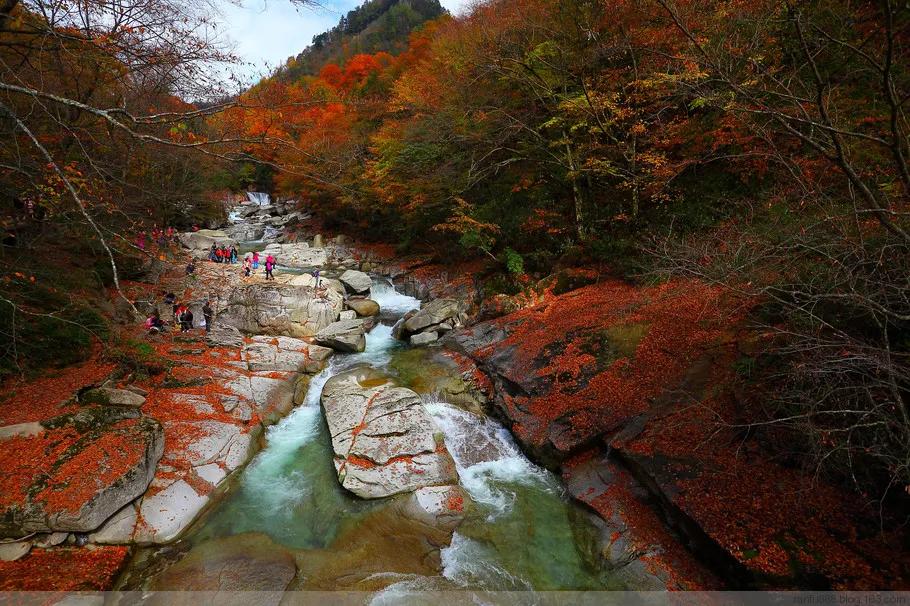 揭秘杂气正财格：它究竟是几等命？如何影响你的财运与人生轨迹