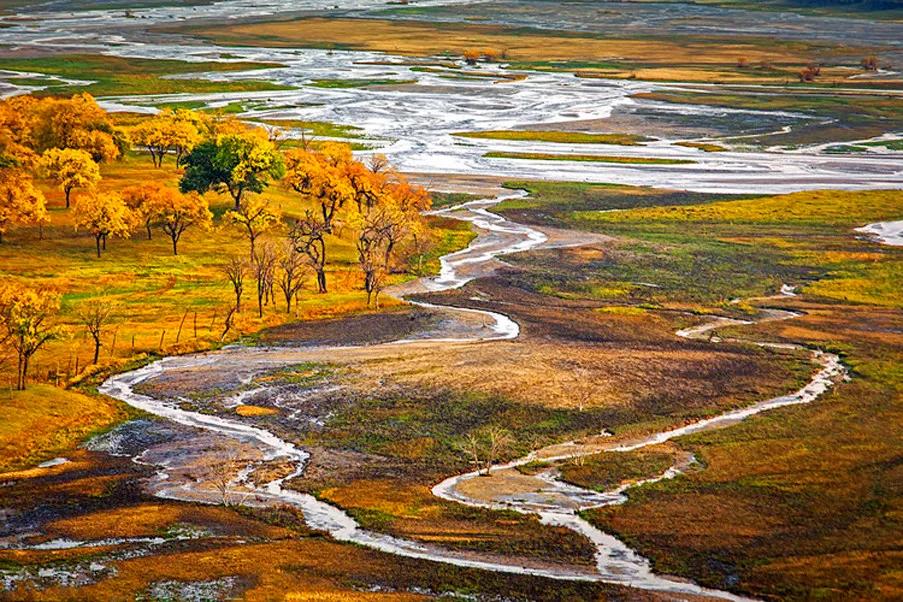 梦见亲戚被她老公杀害？玄学解梦揭秘背后隐藏的运势密码！